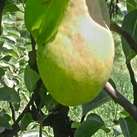 Holiday Al-hambra * Ilidža